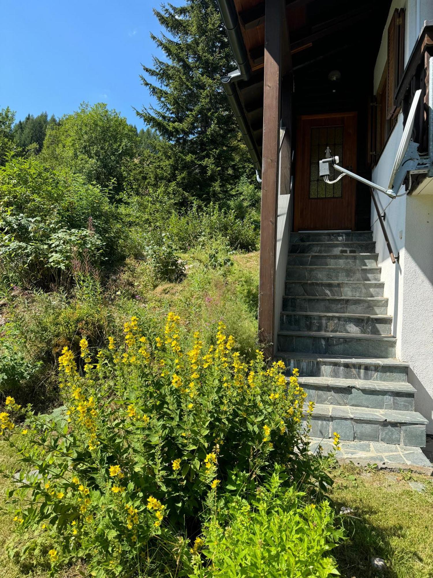 Heinrich Ski-in Ski-out Nassfeld Apartment